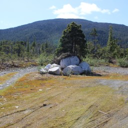 Heart Berries by Terese Marie Mailhot