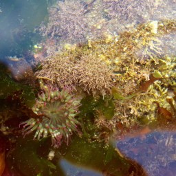 This Place: 150 Years Retold