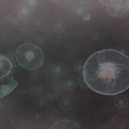 The Graveyard Book by Neil Gaiman